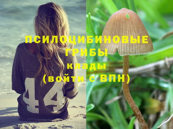 амф Остров