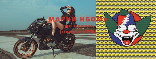 стафф Осташков