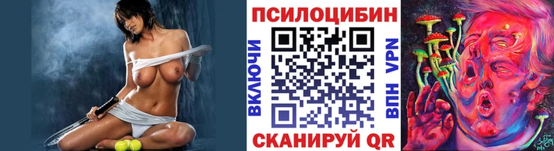 Псилоцибиновые грибы Psilocybine cubensis  OMG вход  даркнет телеграм  Агрыз 